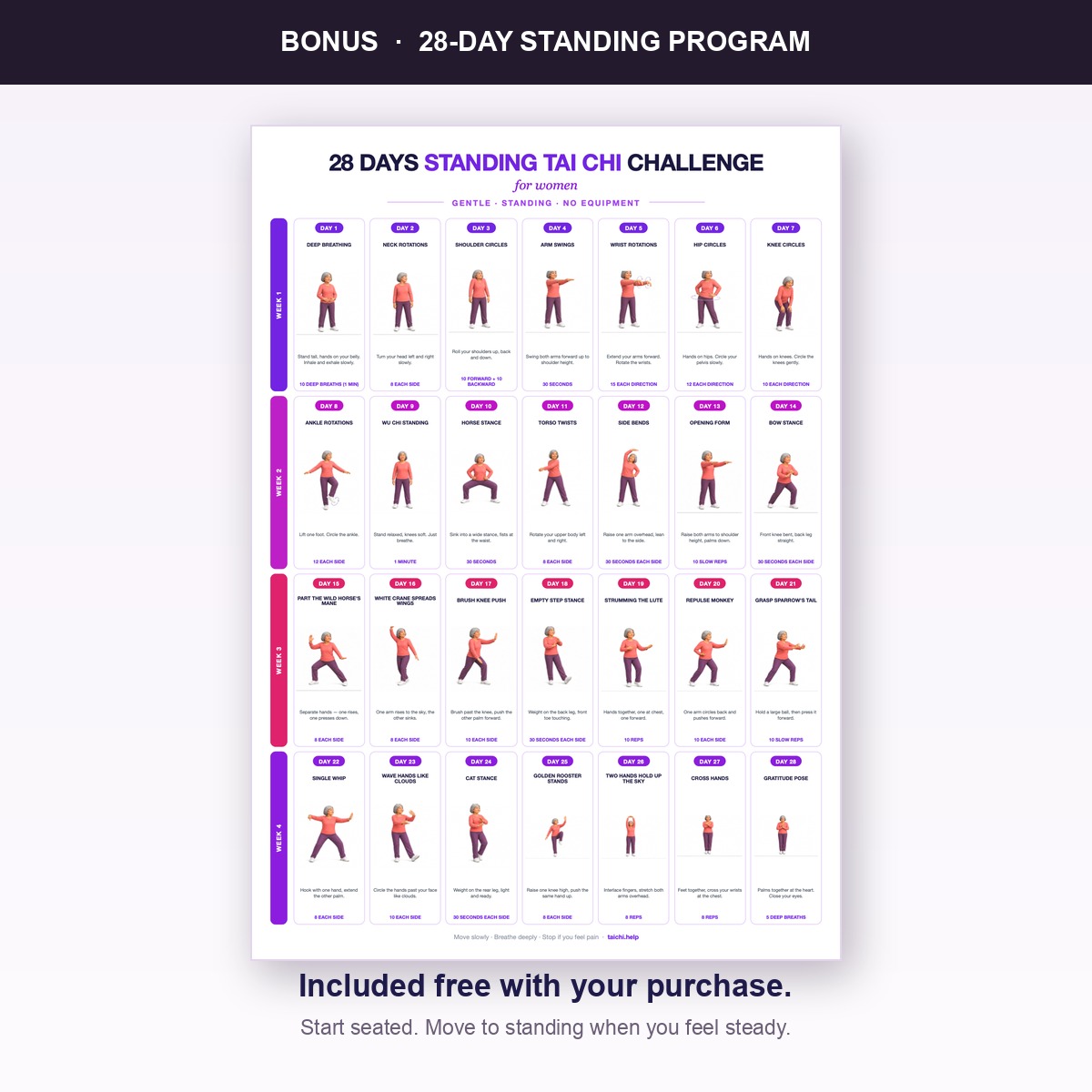 Cover and movement page from the included standing Tai Chi program